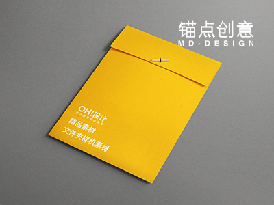 文件袋档案袋样机