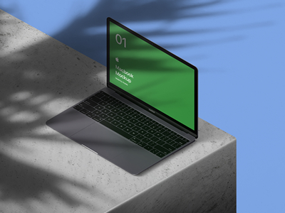 植物阴影投影场景iPhoneXS手机电脑平板