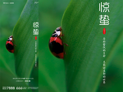 惊蛰二十四节气海报惊蛰PSD格式