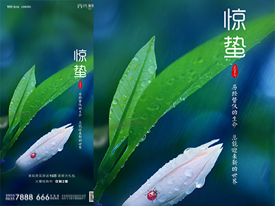 惊蛰二十四节气海报惊蛰PSD格式