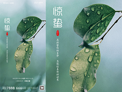 惊蛰二十四节气海报惊蛰PSD格式