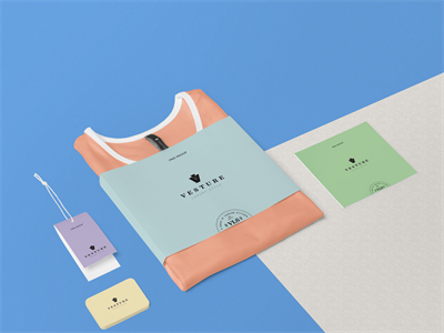 文创T恤短袖吊牌领标品牌样机