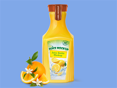果汁包装玻璃瓶水瓶样机