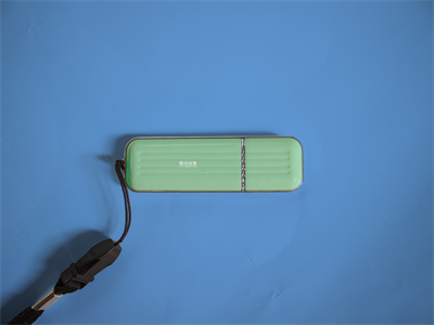 简洁存储U盘智能贴图样机