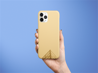 iphone11pro手机壳贴图贴图样机