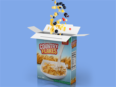 食品纸盒包装样机