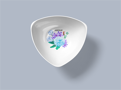 陶瓷餐具盘子碗筷子碟子样机