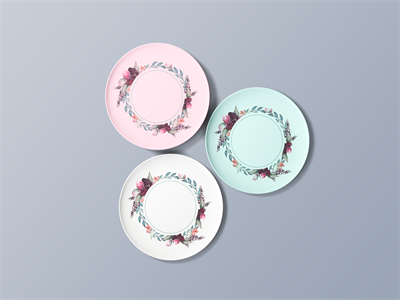 陶瓷餐具盘子碗筷子碟子样机