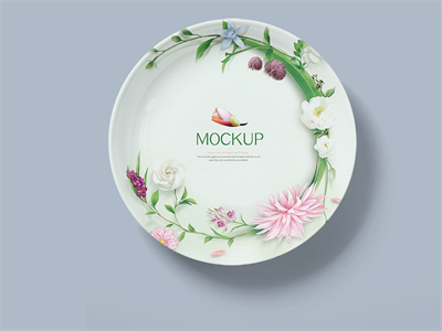 陶瓷餐具盘子碗筷子碟子样机