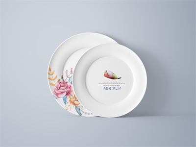 陶瓷餐具盘子碗筷子碟子样机