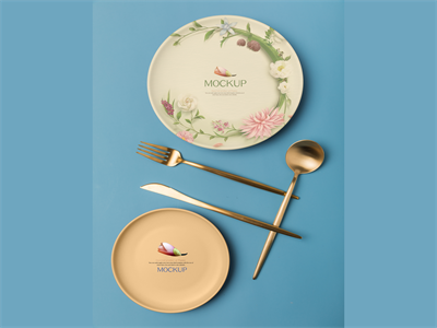 陶瓷餐具盘子碗筷子碟子样机