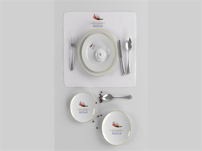 陶瓷餐具盘子碗筷子碟子样机