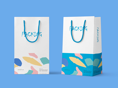 纸袋手提袋样机