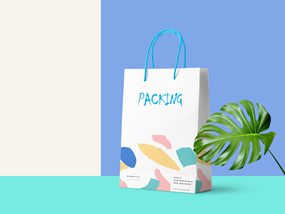 手提袋纸袋样机