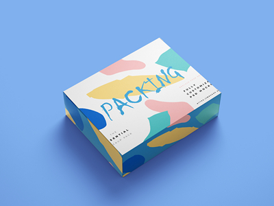 纸盒样机