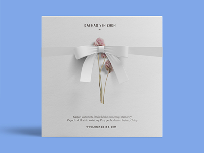 素雅文艺包装系列样机