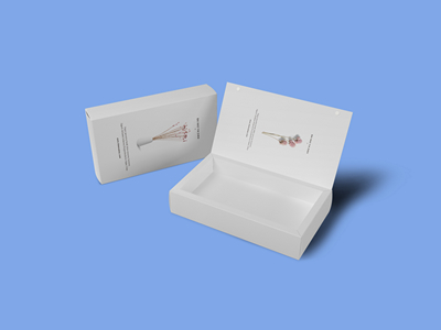 素雅文艺包装系列样机