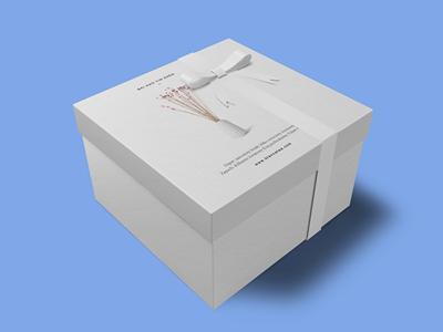 素雅文艺包装系列样机