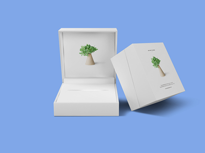 素雅文艺包装系列样机