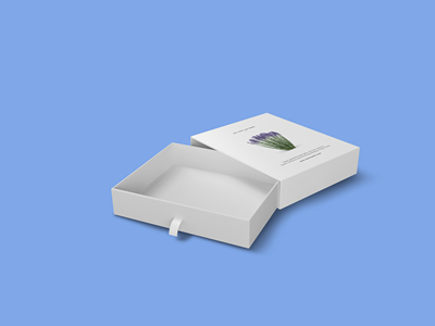 素雅文艺包装系列样机