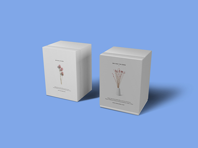 素雅文艺包装系列样机