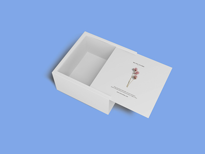 素雅文艺包装系列样机