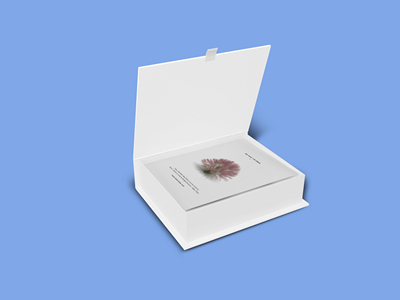 素雅文艺包装系列样机