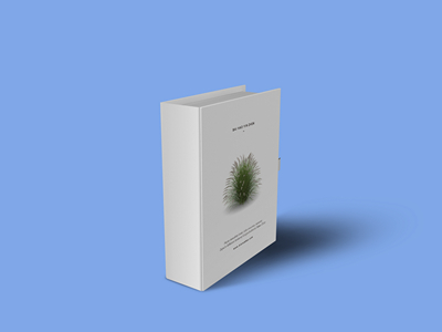 素雅文艺包装系列样机