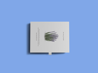 素雅文艺包装系列样机