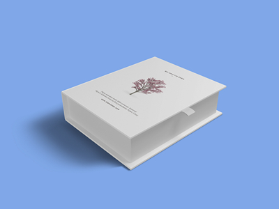 素雅文艺包装系列样机