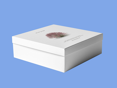 素雅文艺包装系列样机