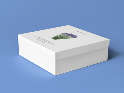 素雅文艺包装系列样机