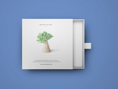 素雅文艺包装系列样机