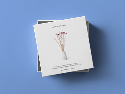 素雅文艺包装系列样机