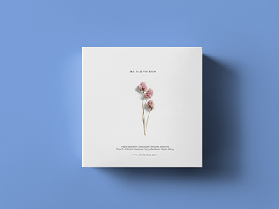 素雅文艺包装系列样机