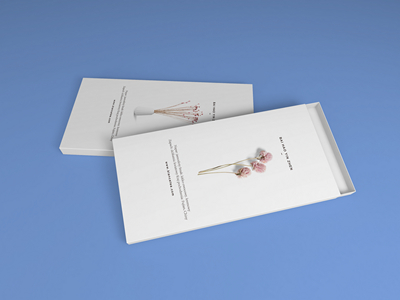 素雅文艺包装系列样机