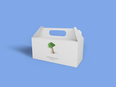 素雅文艺包装系列样机