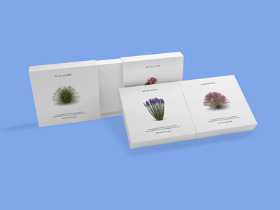 素雅文艺包装系列样机