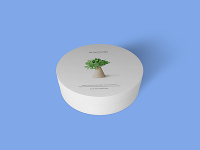 素雅文艺包装系列样机