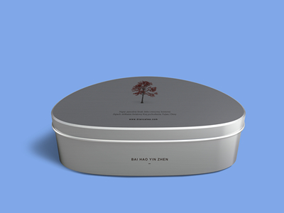 素雅文艺包装系列样机