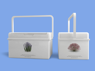 素雅文艺包装系列样机