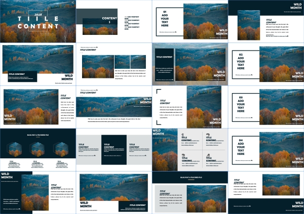 高级感国外欧美简约极简毕业答辩工作总结汇报素材ppt模版