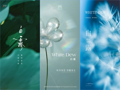 白露 -二十四节气海报朋友圈图psd格式素材