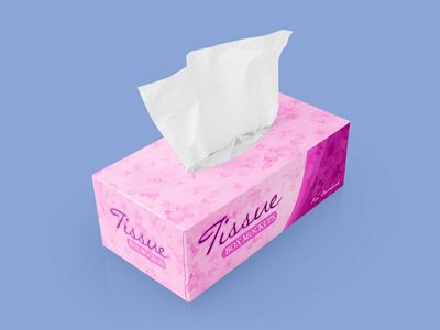 餐巾纸纸盒样机
