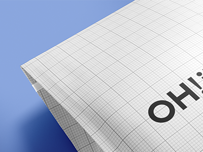 包装样机包装袋