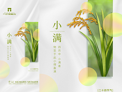 小满-二十四节气海报朋友圈长图PSD格式