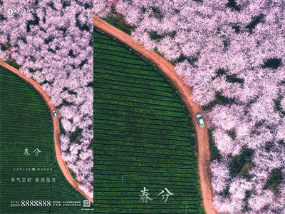 春分二十四节气海报朋友圈图psd格式素材