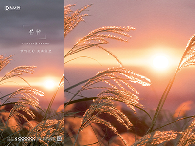 芒种二十四节气海报朋友圈图psd格式素材