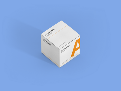 方盒纸盒产品包装样机