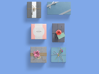 珠宝首饰盒样机